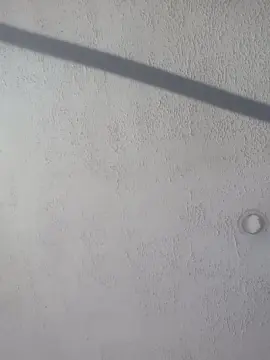 Gatitagroovera  live sex cam