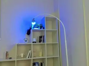 LanSallas  live sex cam