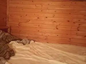 LiviaWinget  live sex cam