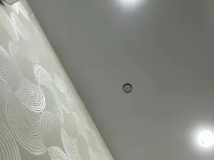 SaritaTrammel  live sex cam
