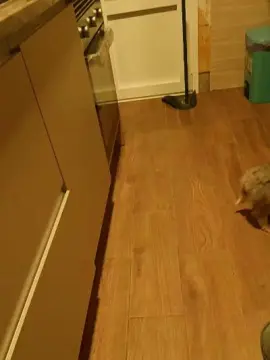 Susiexplosiva  live sex cam