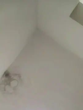 MoorangooX  live sex cam