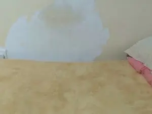 Savage_Petal  live sex cam