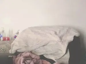 Squirtbig3  live sex cam