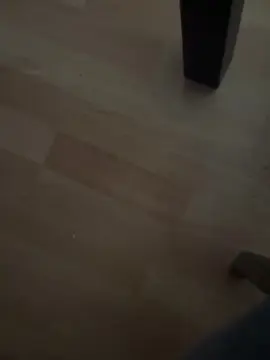 Xoxitocalentito  live sex cam