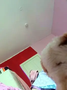 Cute186  live sex cam