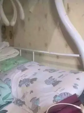 WildLady  live sex cam