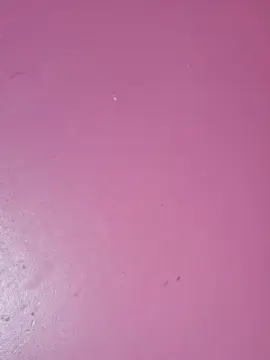 Perversa2026  live sex cam
