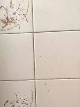 Maahbaixinha  live sex cam