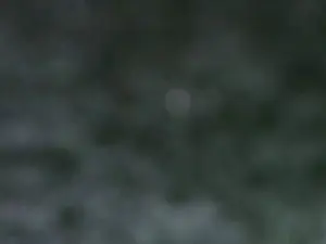 Meimei88  live sex cam