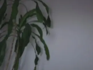 Delight_Lexie  live sex cam
