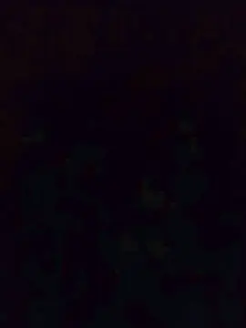 Vogliadi6  live sex cam