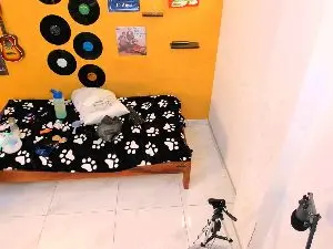 Todayangel18  live sex cam