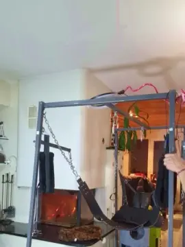 MotionTiger  live sex cam