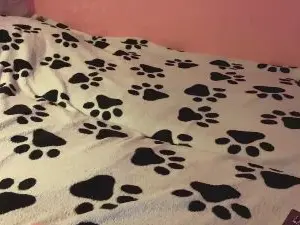 JenaGishal  live sex cam