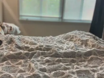 Thegoldennp  live sex cam