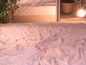 Ffoxyflame  live sex cam