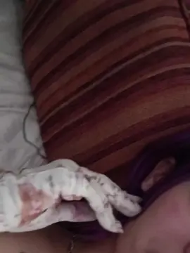 Gatitacalient3  live sex cam