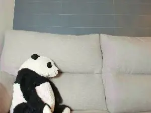 Dulcelatina23  live sex cam