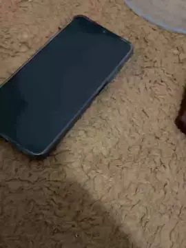 Mariaisabe  live sex cam