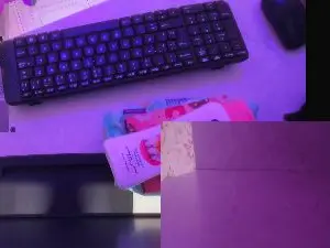 EvaBloom_  live sex cam