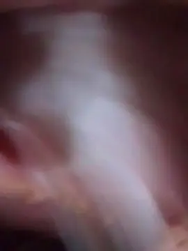 AnaPamela  live sex cam