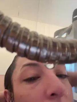 Letsseelexi01  live sex cam