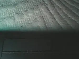 Dessidawnn  live sex cam