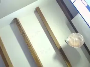 Megara_25  live sex cam