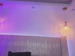 Shelby_carson  live sex cam