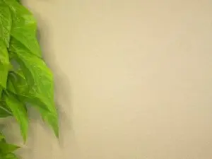 TereseRuscher  live sex cam