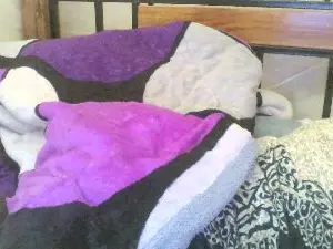 Cute_shantel  live sex cam