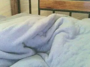 Cute_shantel  live sex cam