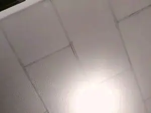 Sexoriquis  live sex cam
