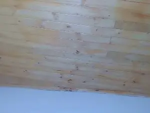 Lilythbelle  live sex cam