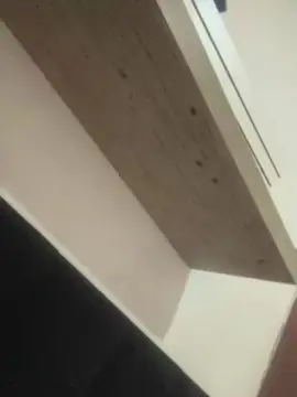Victoria_safa  live sex cam