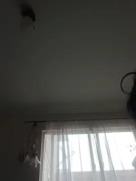 Sorprendida_888  live sex cam