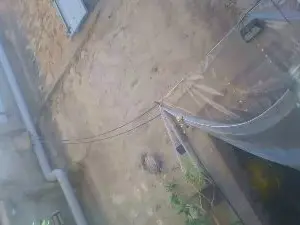 Teamtouch  live sex cam
