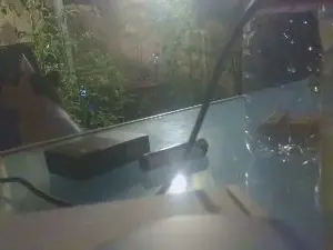 Teamtouch  live sex cam