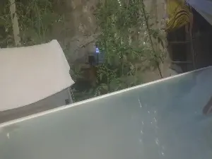 Teamtouch  live sex cam