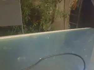 Teamtouch  live sex cam