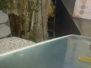 Teamtouch  live sex cam