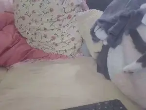 Teamtouch  live sex cam