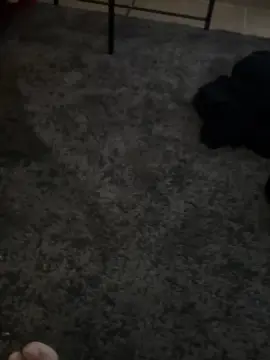 Duointenso  live sex cam