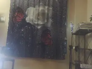 JANININA  live sex cam