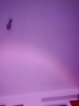 Infiernoangel  live sex cam