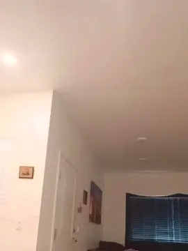 Calisfinesttits  live sex cam