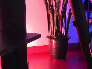 KeniaThompson01  live sex cam