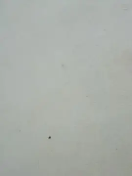 Claraputinha69  live sex cam