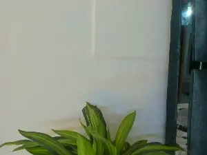 Natasha028_  live sex cam